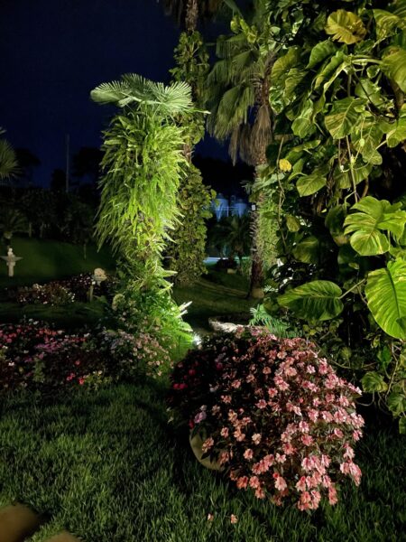 Maravilhoso jardim, Amorim Garden Eventos