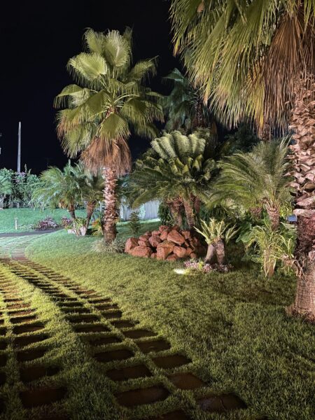 Caminho da entrada Amorim Garden Eventos