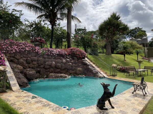 Piscina Amorim Garden Eventos
