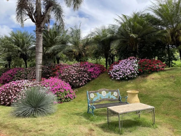 Jardim Amorim Garden Eventos