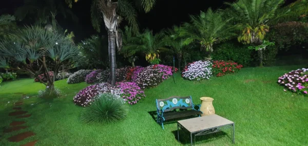Decoração Jardim Amorim Garden Eventos